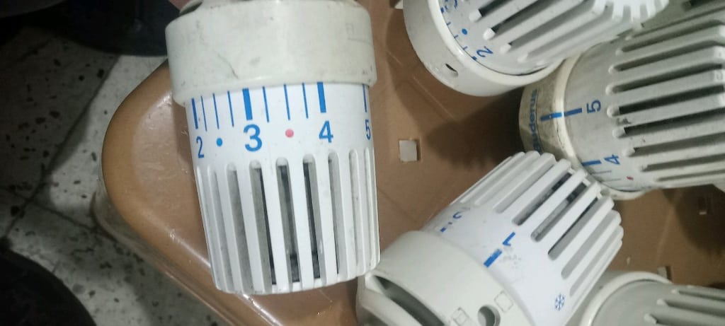 Buderus termostatik vana başlığı - 6