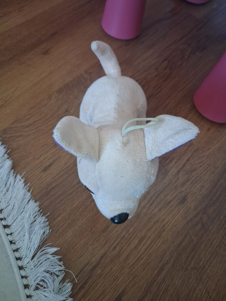 pelus köpek - 6