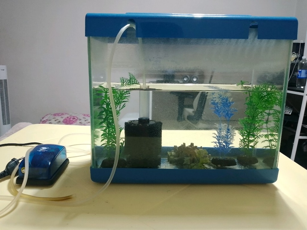 akvaryum ve balık - 2
