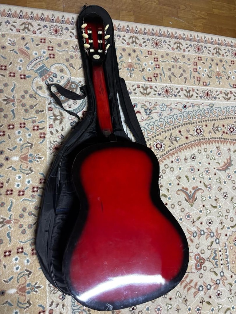 MANUAL RAYMOND GİTAR - 2