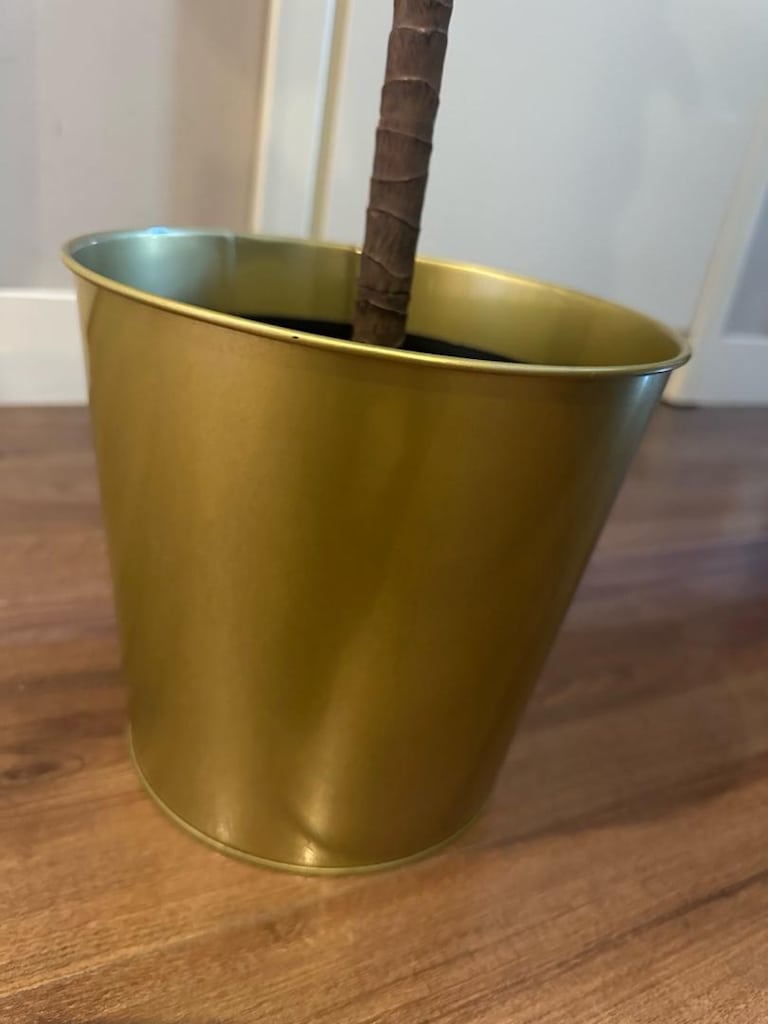 145 CM IKEA FEJKA YAPAY BİTKİ (Pandora Kauçuğu) Yeşil + SAKSI HEDİYELİ - 4