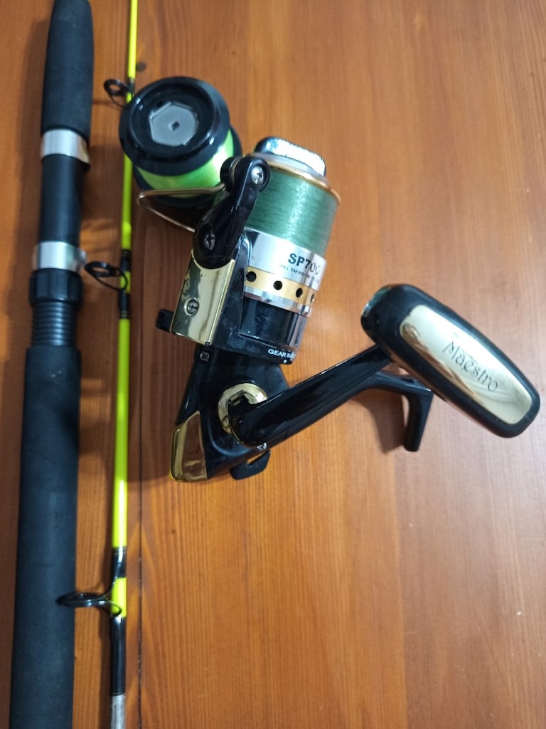 Alba Star boat kamışı 50-100 gr - 2