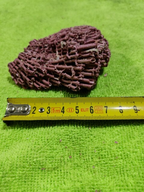 HAKİKİ DOĞAL KIRMIZI MERCAN 44 GR