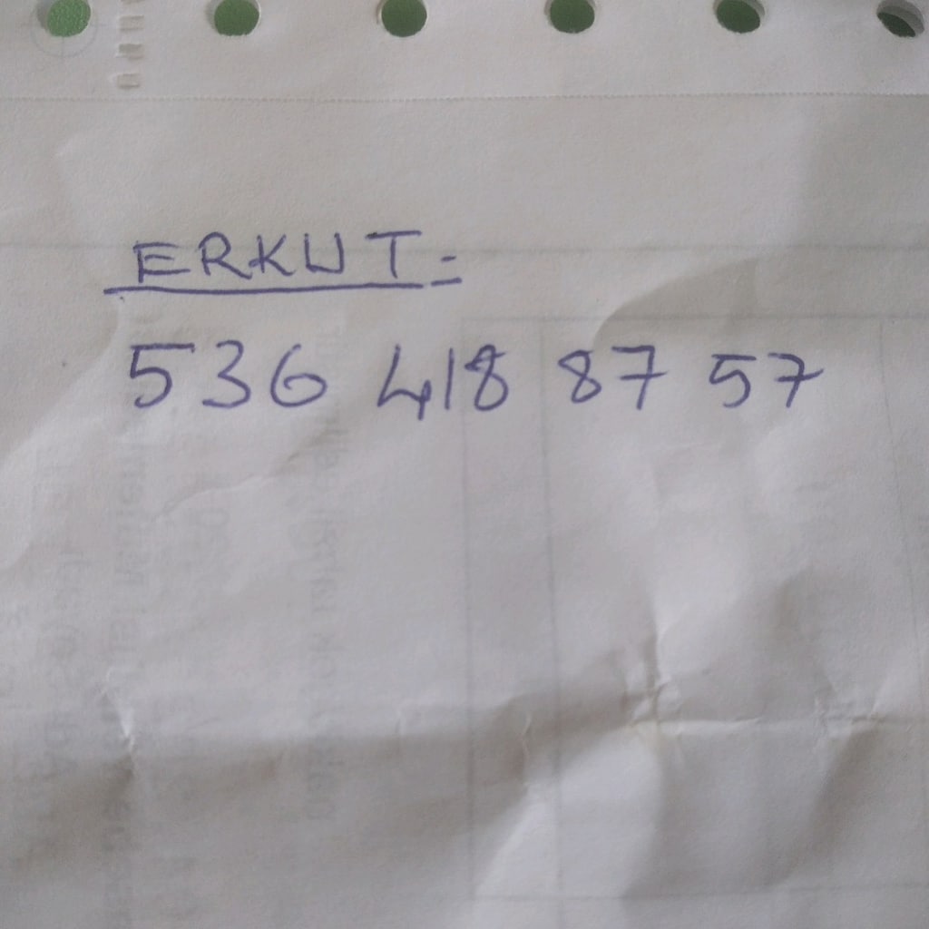 Büyük papağan kafesi - 5