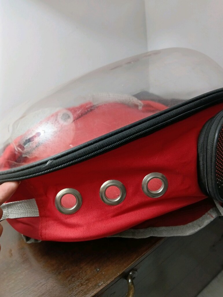 0 yeni kedi.çantası. sadexe 1 kez kullandık kedimize - 10