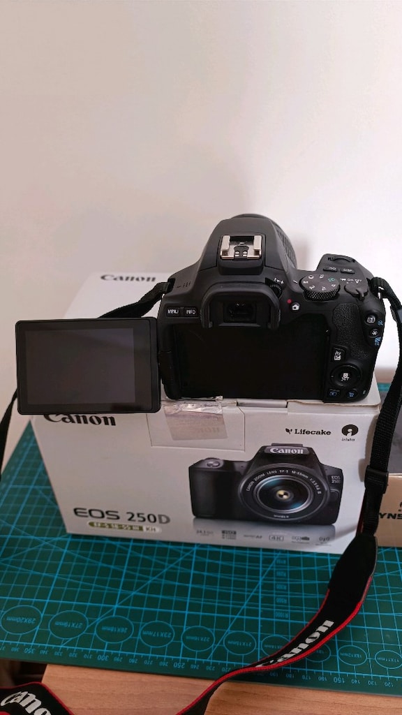 Canon EOS 250D Kit (18-55mm) + Yongnuo 50mm f/1.8 Lens - 4