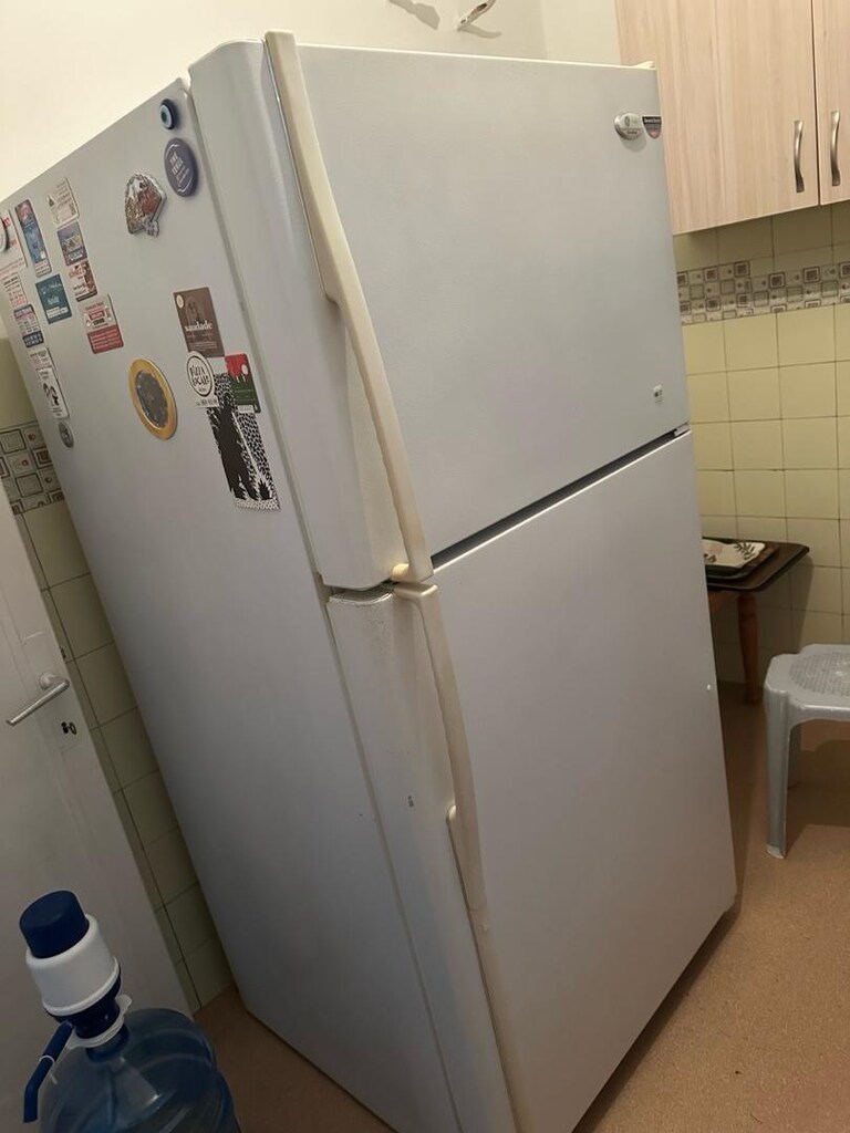 Sahibinden orjinal Amerikan General Elektric marka buzdolabı - 2