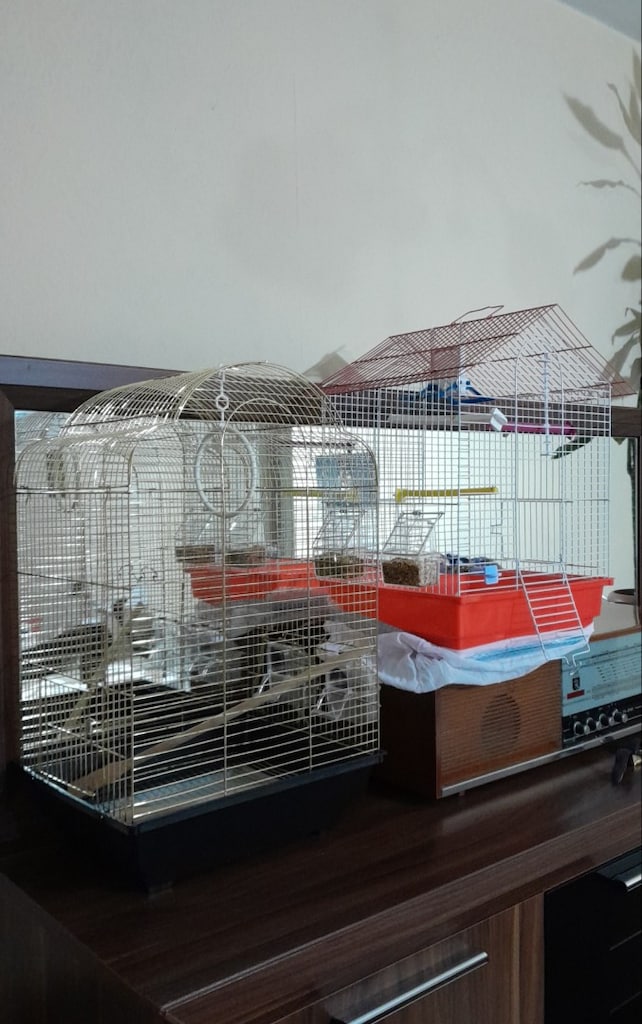 2 adet kuş kafesi - 3