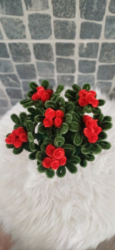 Saksılı Kokina Çiçek - 3
