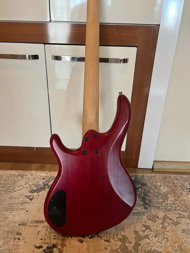 Bas gitar/Gitar - 5