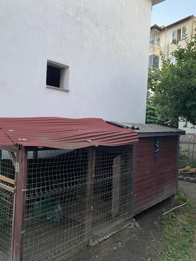köpek kulübesi - 6