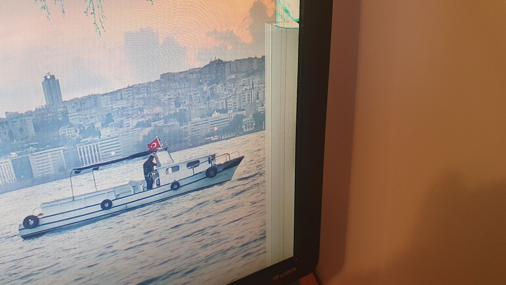 HASARLI: HP w2207h 22 inç LCD Monitör - 6