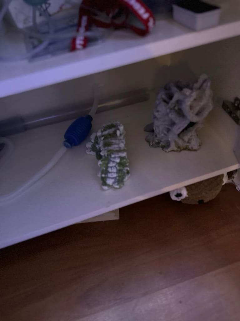 FULL ARTI FULL AKVARYUM ÇOK UYGUNA - 11