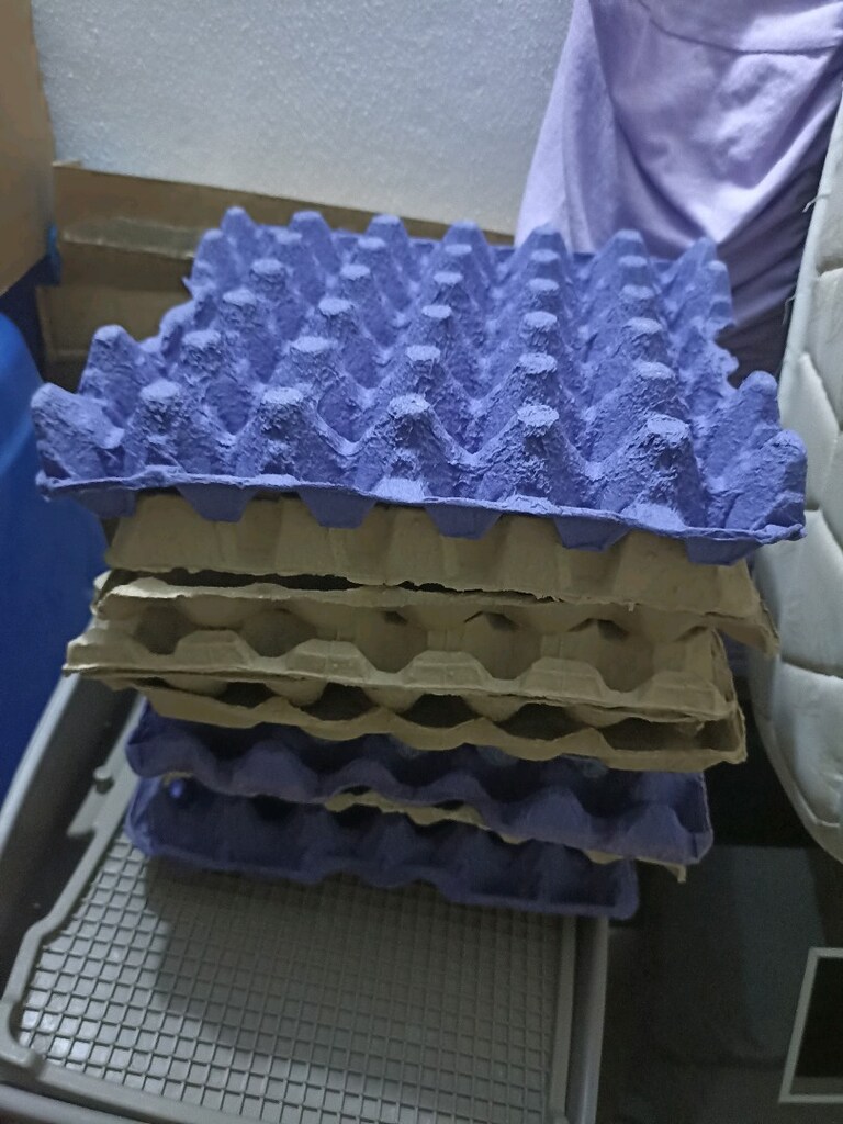 Şifonyer, yumurta viyolü. Fiyatlar ve ayrıntılar açıklamada mevcut - 2