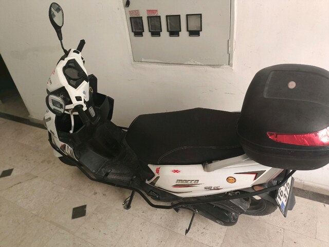 mocco 50