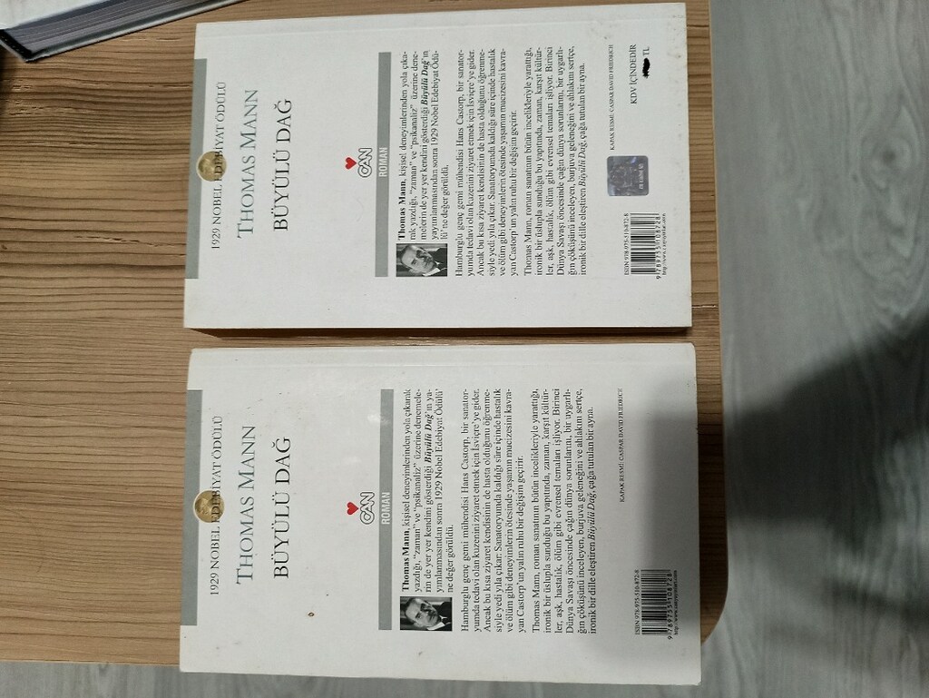 THOMAS MANN BÜYÜLÜ DAĞ İKİ CİLT TAKIM - 2