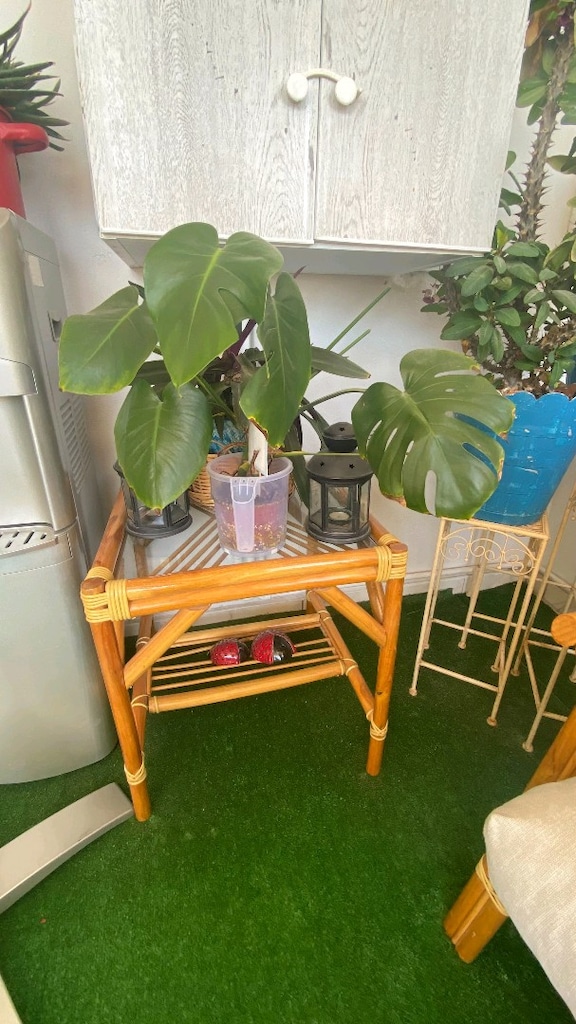 Bambu Bahçe ve Balkon Takımı - 6