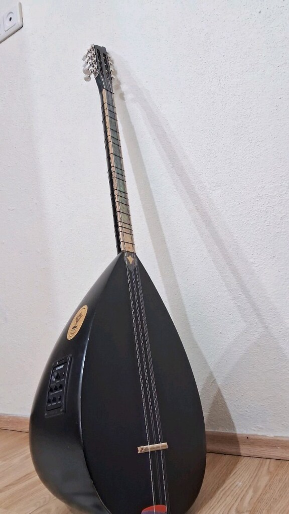 Kısa Sap Gitar Burgulu Bağlama +Kılıf - 2