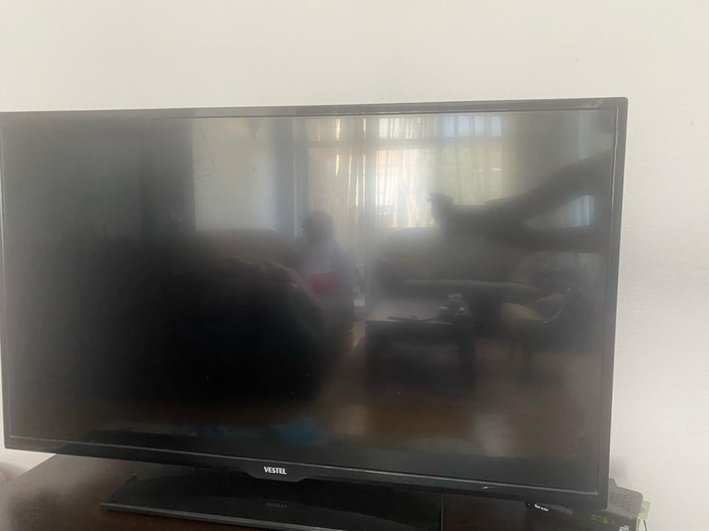 Vestel Televizyon