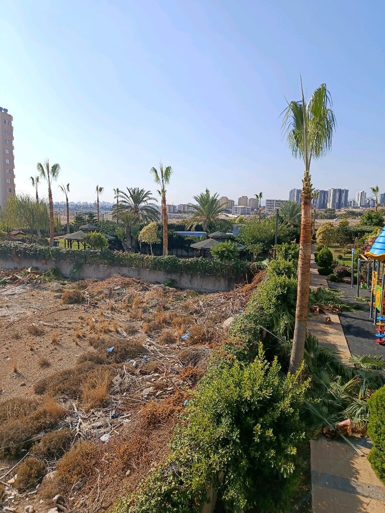 Palmiyeci Ergün evgin - 5