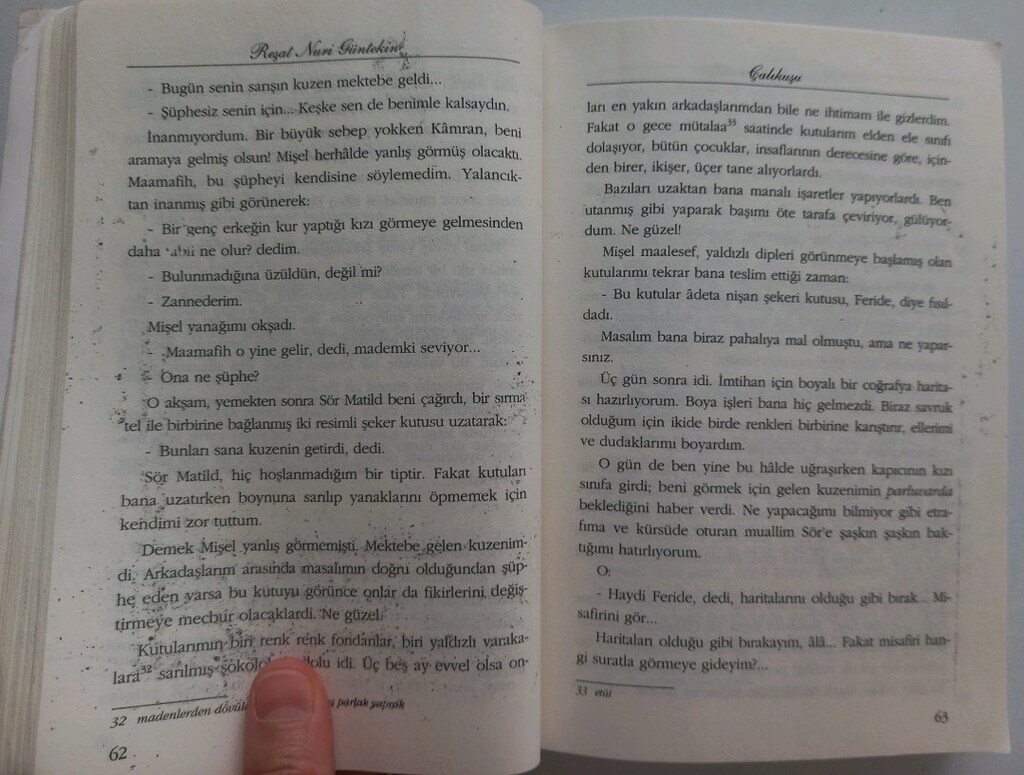 Reşat Nuri Güntekin - Çalıkuşu - 4