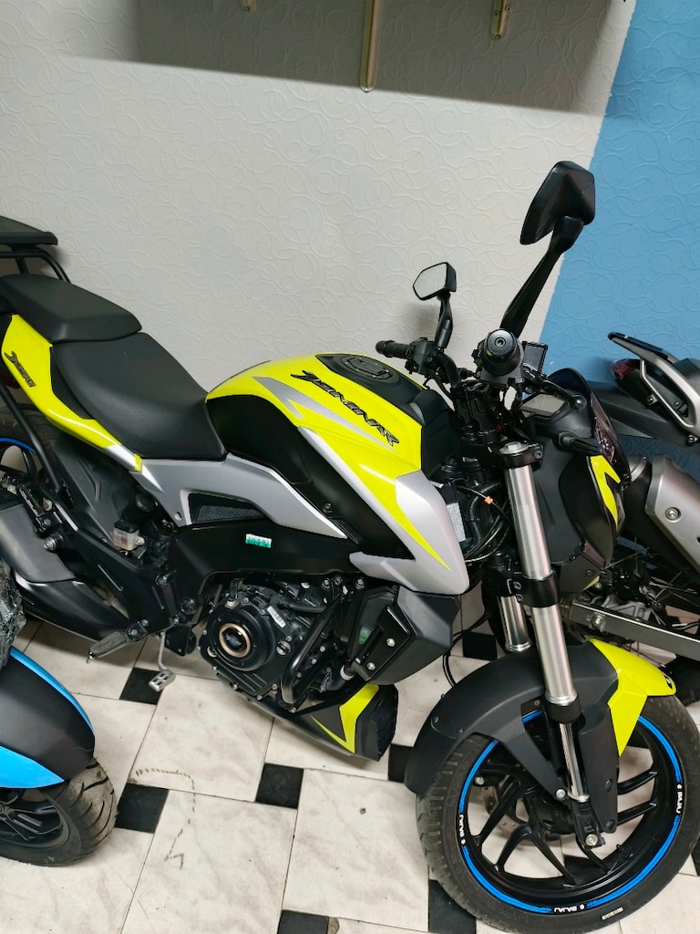 Bajaj dominar sarı papatya - 2