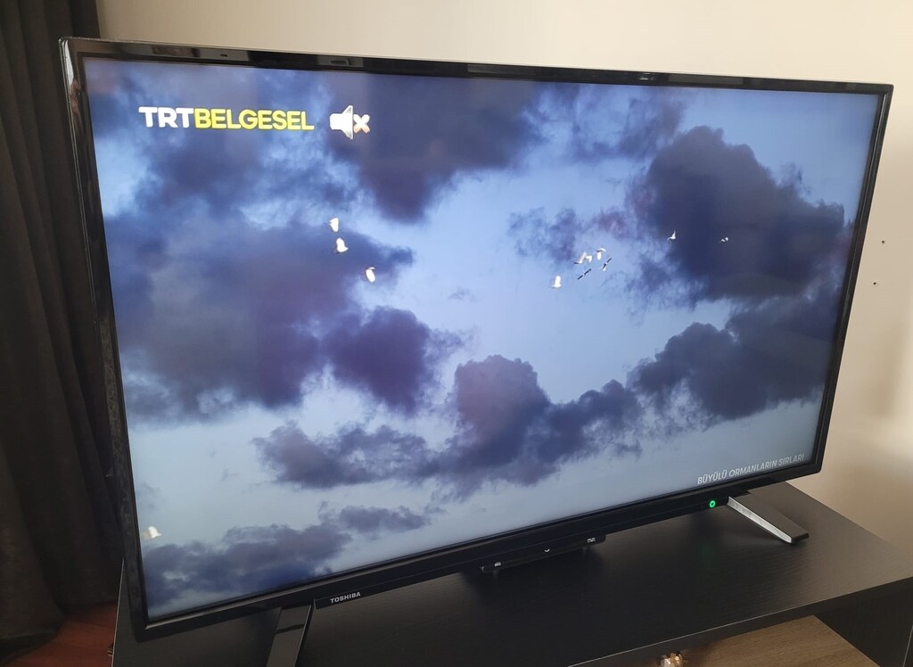 Toshiba 43UL2163DT 4K UHD LED TV - 6