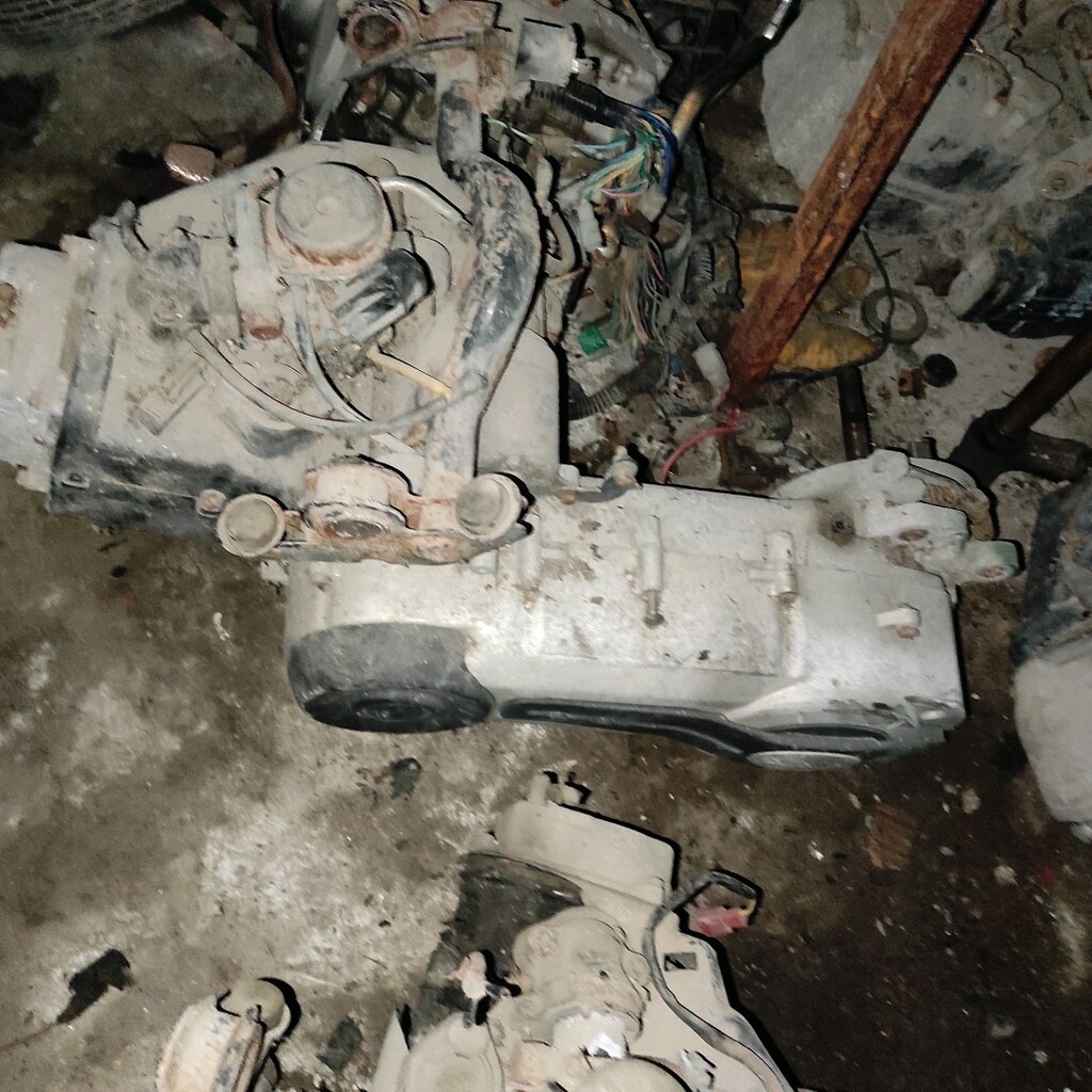 Salcona scotteri kelle motor - 2