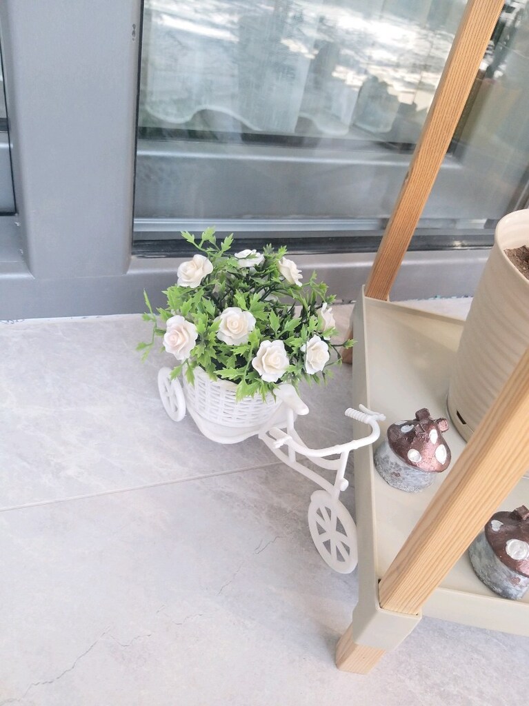 canlı cicekler - 3
