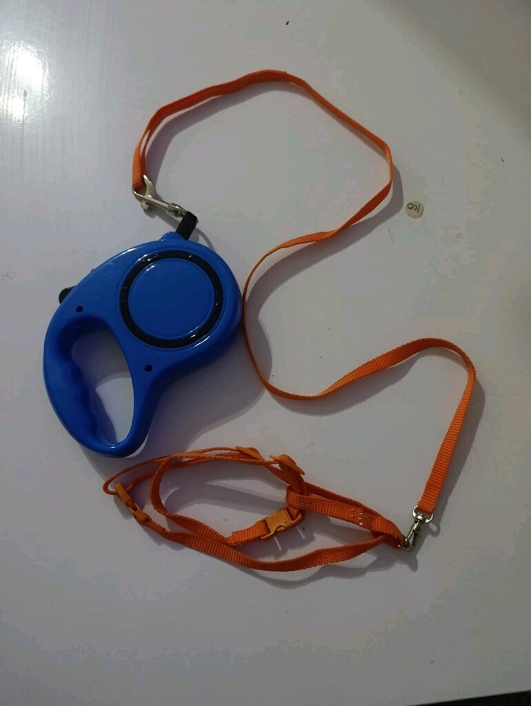köpek tasmasi - 3