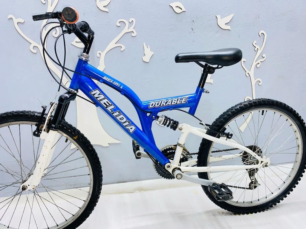 bisiklet - 12