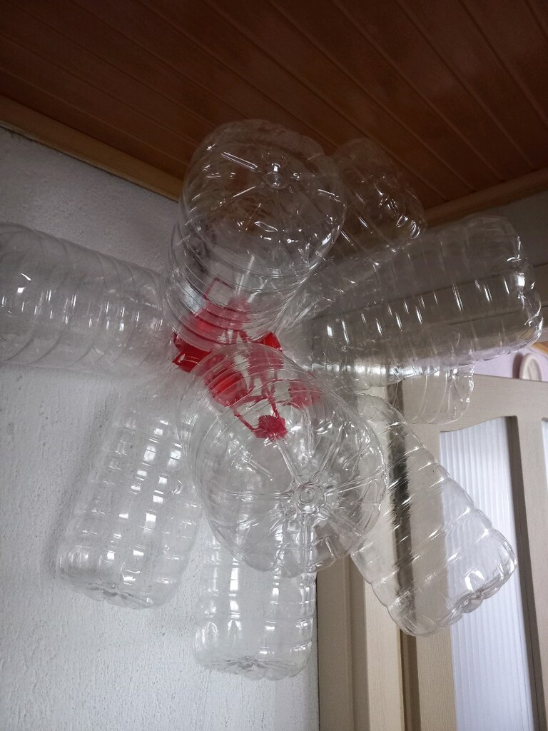 PET Şişe 5litre. Zeytin yaglik - 4