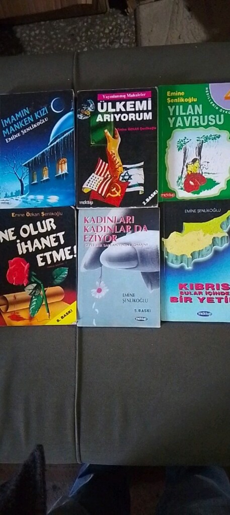 EMİNE ŞENLİKOĞLU KİTAPLARI - 10