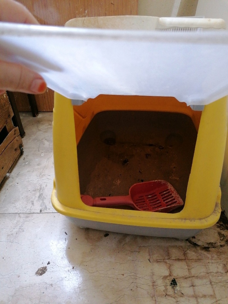 Kedi taşıma puset - 2