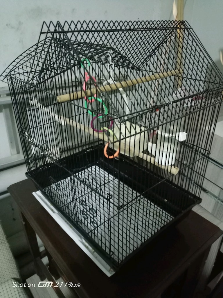 büyük boy kuş kafesi - 13