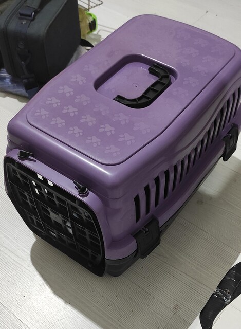 Kedi taşıma çantası