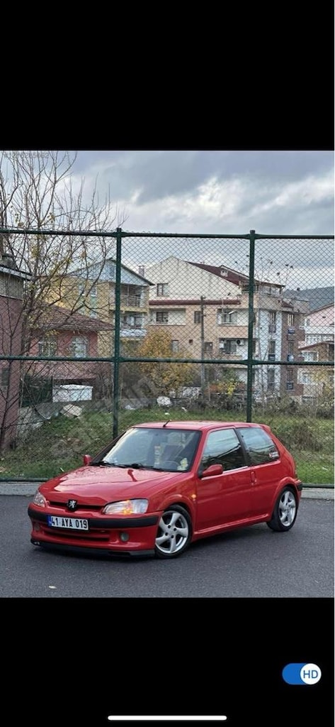 fındık faresi - 6