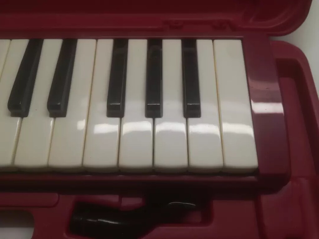 Hohner melodica student 32 - 4