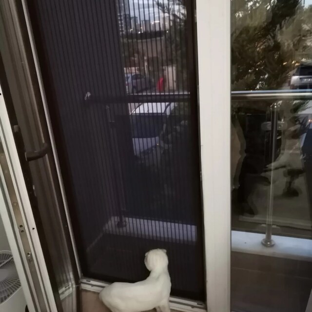Kedi Sinekliği İmalattan