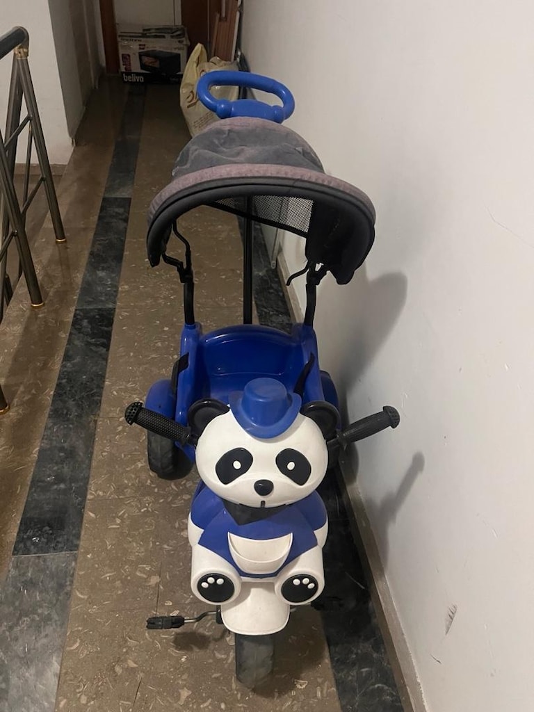 panda bisiklet - 6