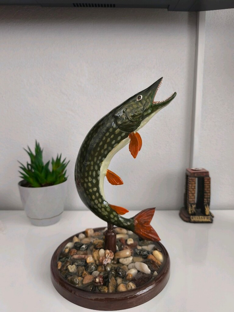 Özel Yapım Turna Balığı Biblosu / Masaüstü Dekor (El Emeği) 1 kg - 2