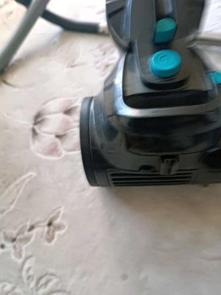 yeni gini Bernardo süpürge - 5