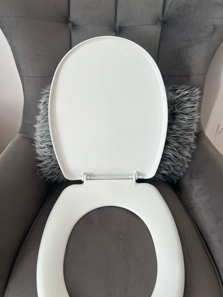 klozet kapağı - 2
