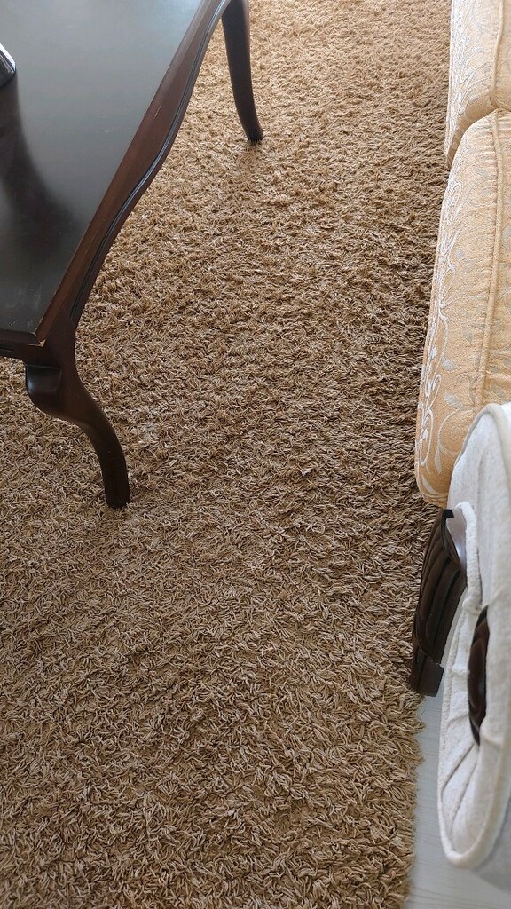 160x230cm dinarsu Shaggy halı - 3