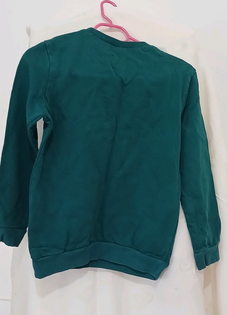 Erkek Çocuk Sweatshirt - 4