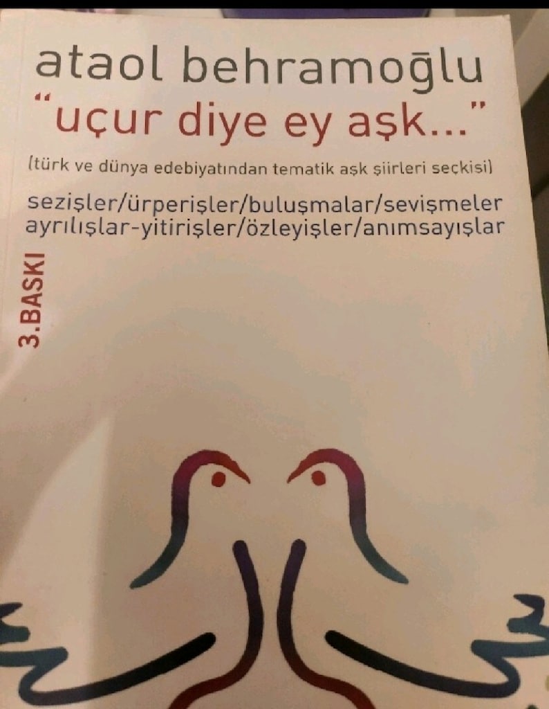 Şiir kitabı - 3