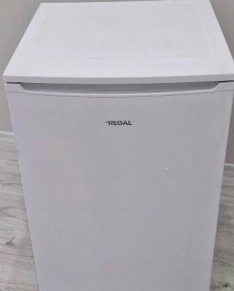 Derin Dondurucu Regal Marka 103 Lt - 5