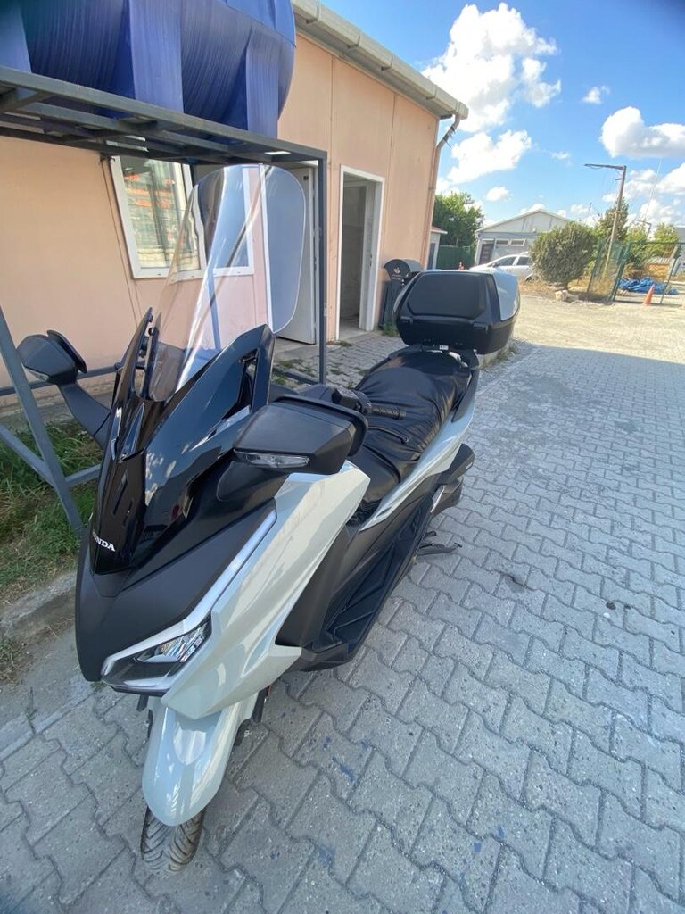 temiz forza 2025 model - 2