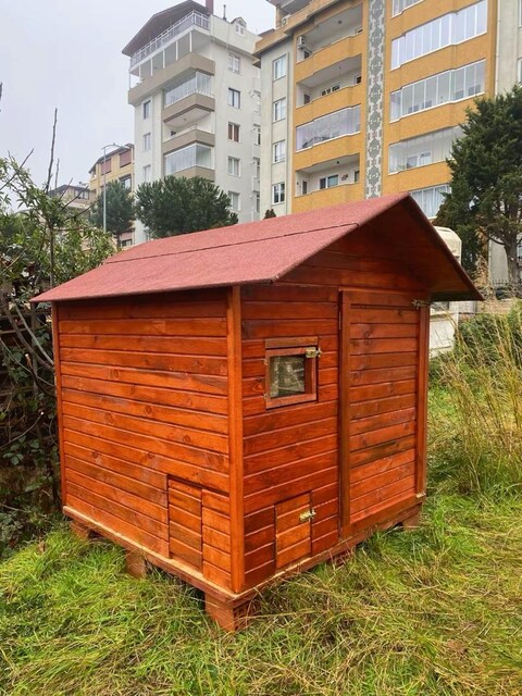 tavuk kümesi