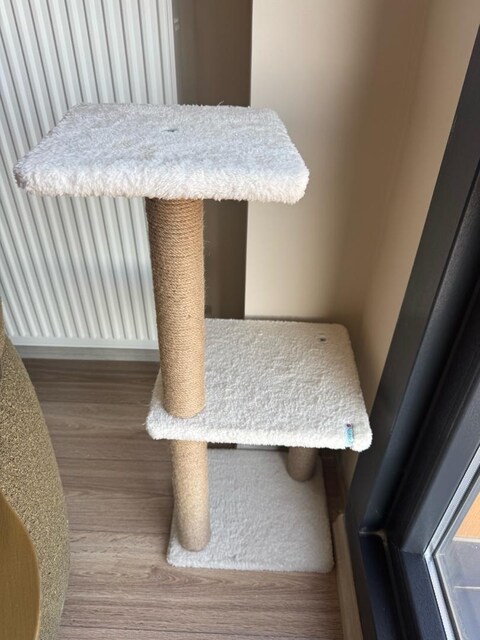 Kedi Tırmalama Tahtası